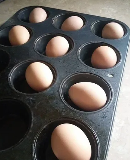 Hard Boiling Farm Fresh Eggs